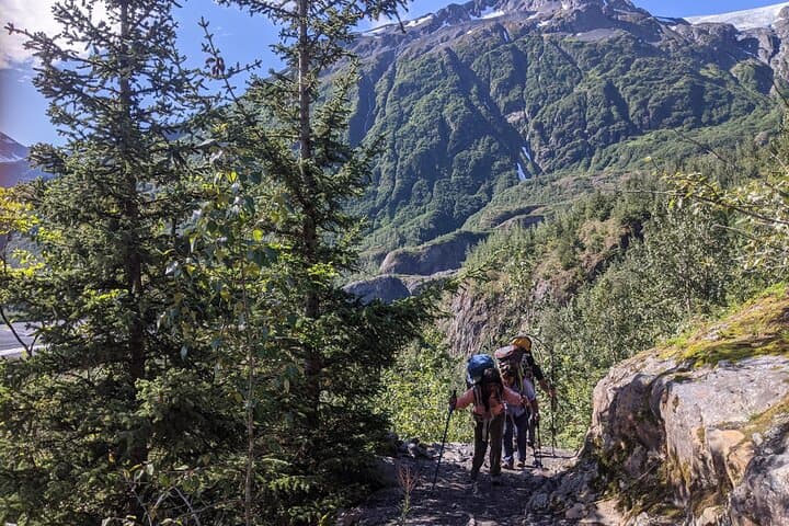 Seward Wilderness Hiking: Guided Day Hikes to Glaciers, Forests & Wildlife photo 2