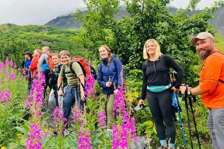 Seward Wilderness Hiking: Guided Day Hikes to Glaciers, Forests & Wildlife