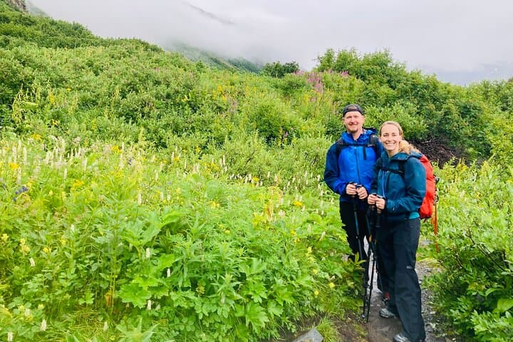 Seward Wilderness Hiking: Guided Day Hikes to Glaciers, Forests & Wildlife photo 5