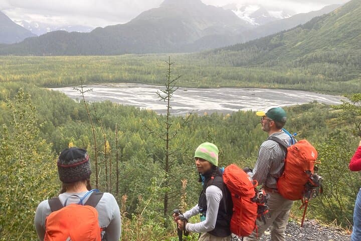 Seward Wilderness Hiking: Guided Day Hikes to Glaciers, Forests & Wildlife photo 6