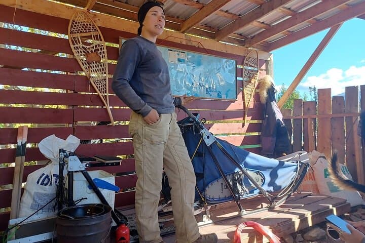 Explore the Yukon Tundra: Summer Sled Dog Camp and White Pass Summit Adventure photo 6