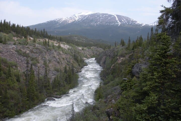 Explore the White Pass Summit and Yukon Suspension Bridge: A Skagway Adventure photo 2