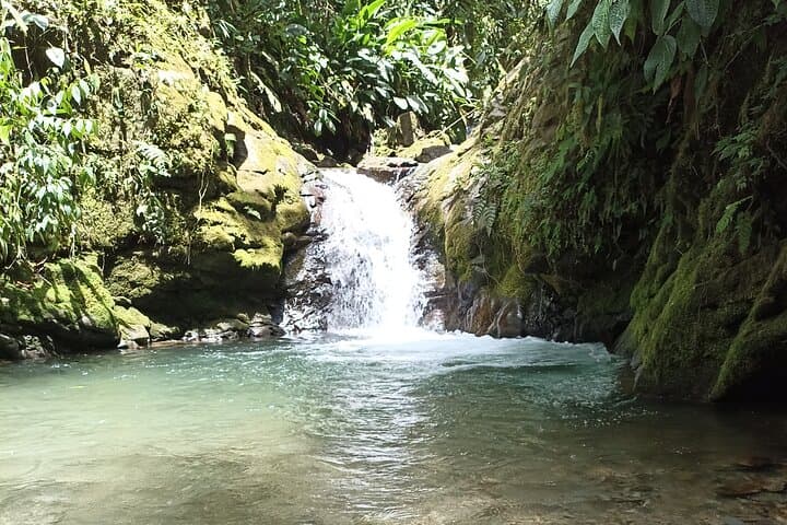 Full-Day Mindo Cloud Forest Tour: Butterflies, Waterfalls & Chocolate from Quito photo 3