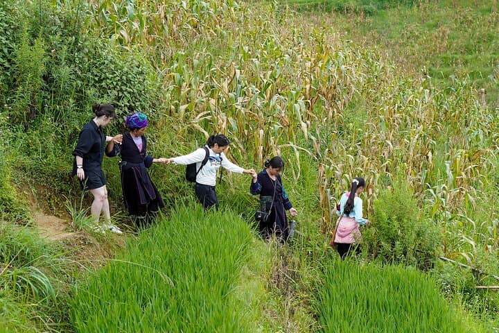 Sapa Trekking & Homestay: 2-Day Muong Hoa Valley Hike and Cultural Stay photo 4
