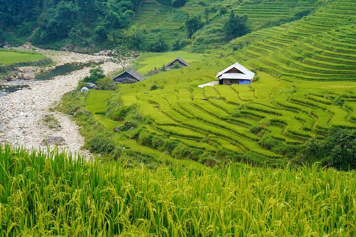 Sapa Trekking & Homestay: 2-Day Muong Hoa Valley Hike and Cultural Stay photo 3