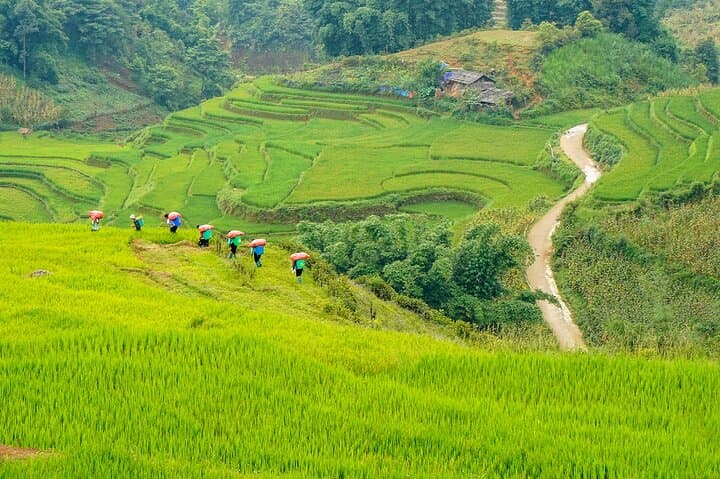 Sapa Trekking & Homestay: 2-Day Muong Hoa Valley Hike and Cultural Stay photo 1