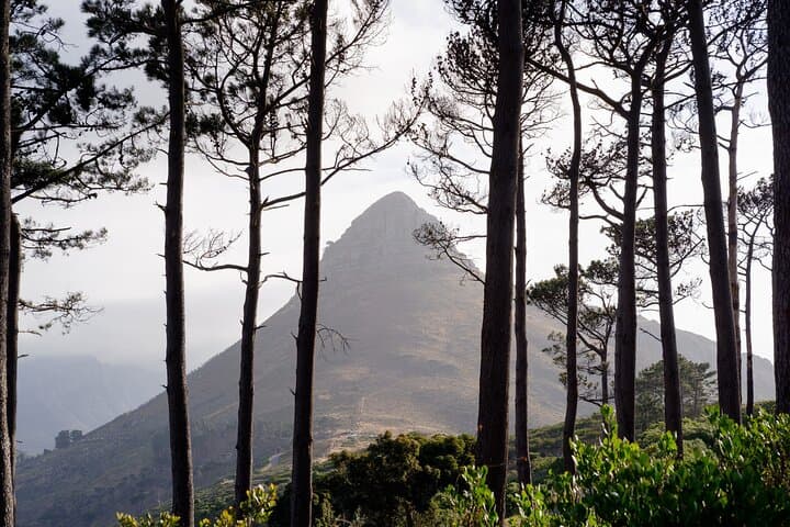 Table Mountain, Bo-Kaap & V&A Day Tour — Cable Car, Diamond Museum and Dinner photo 4