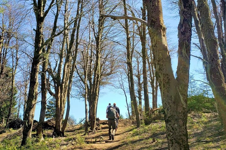 Trek to Berghof on Cerro Otto — German mountain stories in Bariloche photo 6
