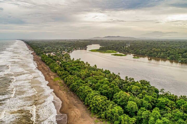 Tortuguero National Park: Self-Guided Admission to Costa Rica’s Canal Wilderness