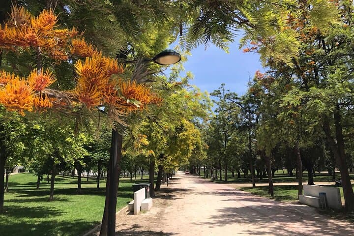 Three Parks of Valencia: Private Bike, E-Bike, E-Step & Segway Tour Through the Turia Gardens photo 3