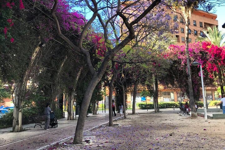 Three Parks of Valencia: Private Bike, E-Bike, E-Step & Segway Tour Through the Turia Gardens photo 4