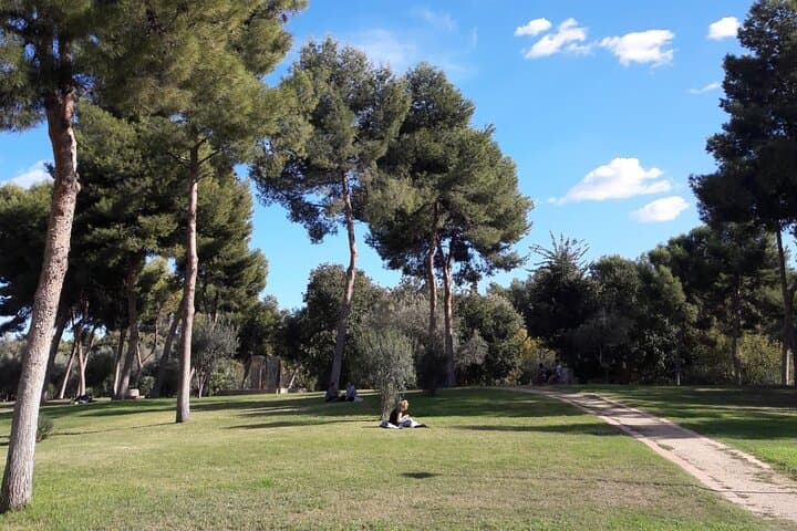 Three Parks of Valencia: Private Bike, E-Bike, E-Step & Segway Tour Through the Turia Gardens photo 6