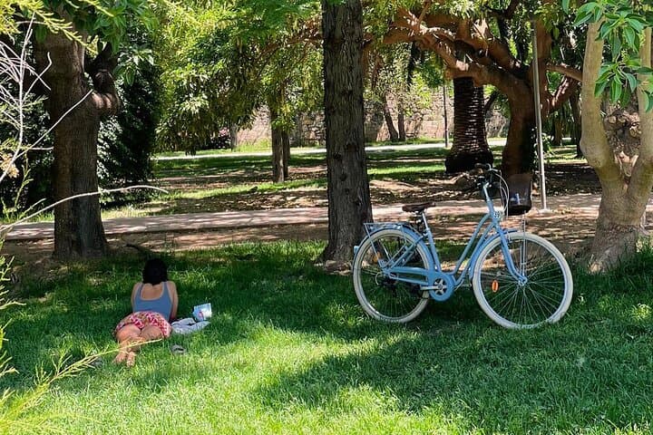 Three Parks of Valencia: Private Bike, E-Bike, E-Step & Segway Tour Through the Turia Gardens