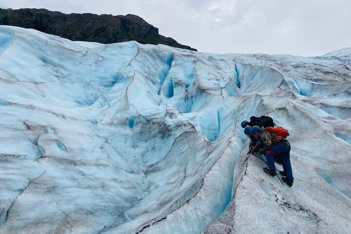 Exit Glacier Ice Hiking Adventure from Seward — Guided Harding Icefield Glacier Hike
