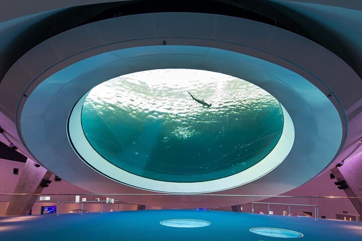 Frost Science Museum Miami: Aquarium, Planetarium & Waterfront Science Admission photo 2
