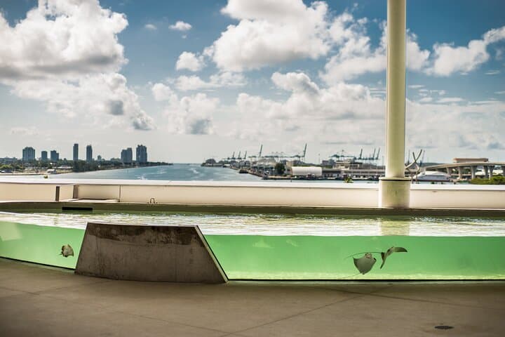 Frost Science Museum Miami: Aquarium, Planetarium & Waterfront Science Admission photo 3
