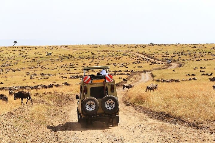 4-Day Mid-Range Safari: Serengeti, Ngorongoro & Tarangire photo 4