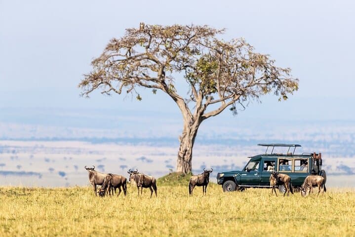 4-Day Mid-Range Safari: Serengeti, Ngorongoro & Tarangire photo 5