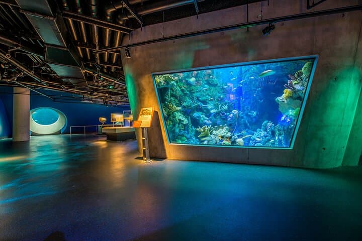 Frost Science Museum Miami: Aquarium, Planetarium & Waterfront Science Admission photo 6