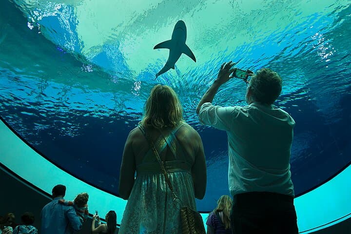 Frost Science Museum Miami: Aquarium, Planetarium & Waterfront Science Admission