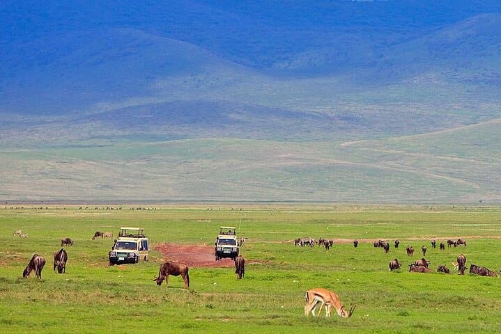 4-Day Private Serengeti & Ngorongoro Mid-Range Safari photo 2