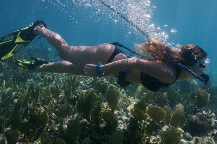 Nemo Guided Tour: Shallow Reef Snorkel in Lauderdale-by-the-Sea photo 3