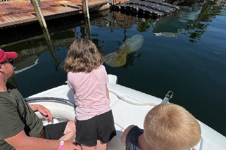 Florida Keys Eco Boat Tour in Key Largo — Dolphins & Manatees & Coastal Ecology photo 1