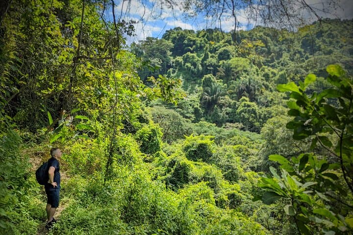 Hiking to Minca: Sierra Nevada Waterfalls, Coffee Trails & Cloudforest Trek photo 4