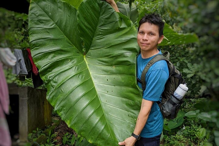 Hiking to Minca: Sierra Nevada Waterfalls, Coffee Trails & Cloudforest Trek photo 6