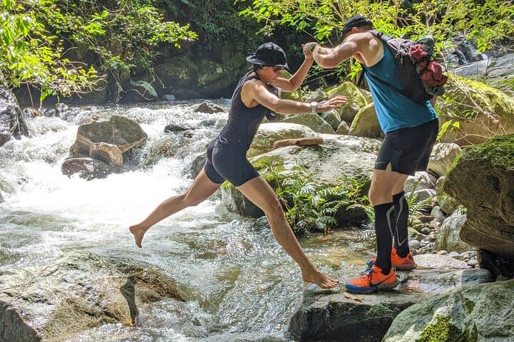 Hiking to Minca: Sierra Nevada Waterfalls, Coffee Trails & Cloudforest Trek