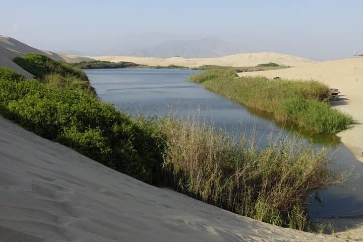 Morón Lagoon Desert Tour from Ica: Swim Dunes and Desert Scenery in Six Hours photo 4