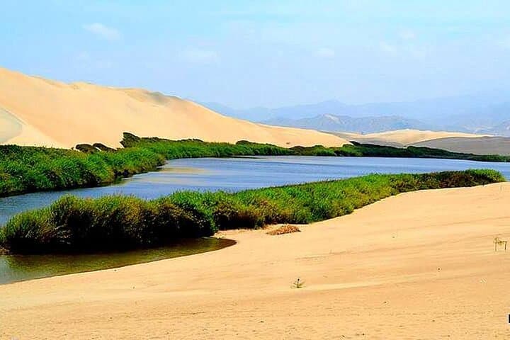 Morón Lagoon Desert Tour from Ica: Swim Dunes and Desert Scenery in Six Hours photo 5