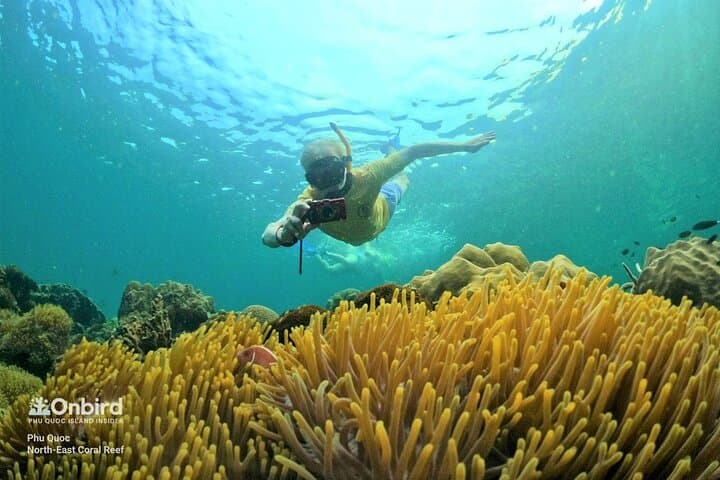 Private Snorkeling Adventure at Half-Moon Reef & Coral Mountain, Phu Quoc