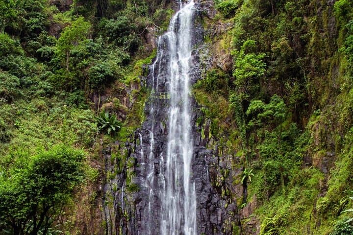 Materuni Waterfalls & Chagga Coffee: Half-Day Private Tour from Moshi photo 5