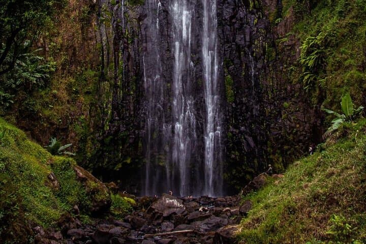 Materuni Waterfalls & Chagga Coffee: Half-Day Private Tour from Moshi photo 6
