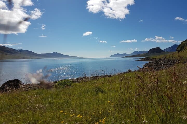 Holmanes Nature Reserve Hike — East Iceland Coastal Walk to Hólmatindur