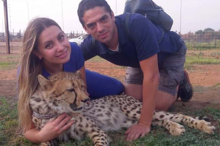 Walk with Cheetahs at Zambezi National Park: Up-Close Conservation Encounter photo 3