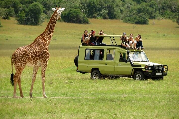 3-Day Masai Mara Budget Camping Safari in a 4x4 Land Cruiser