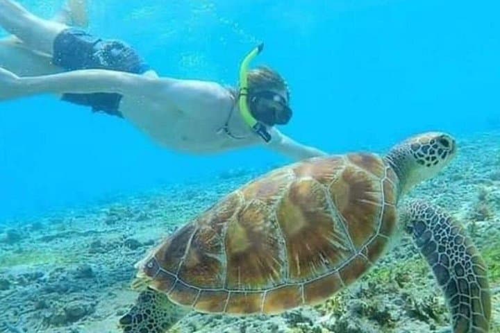4-Day Private Bali Highlights: Nusa Penida, Ubud & Uluwatu photo 3