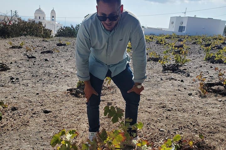 Santorini Private Day Tour from Athens with Wine Tasting & Island Highlights photo 2