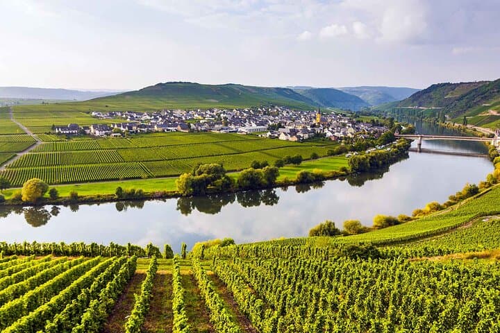 Vianden, Müllerthal & Moselle: 1-Day Private Guided Tour from Luxembourg City photo 4
