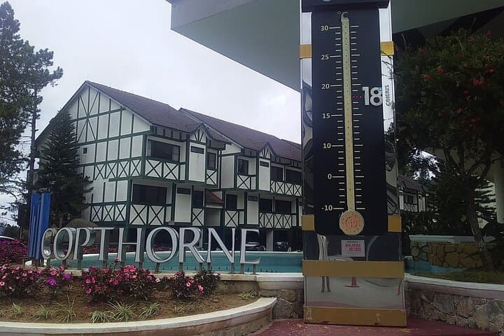 Cameron Highlands Full-Day Adventure: BOH Tea, Mossy Forest & Highland Farms photo 2