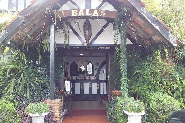 Cameron Highlands Full-Day Adventure: BOH Tea, Mossy Forest & Highland Farms photo 3