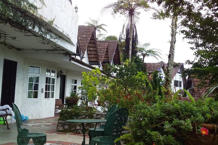 Cameron Highlands Full-Day Adventure: BOH Tea, Mossy Forest & Highland Farms photo 4