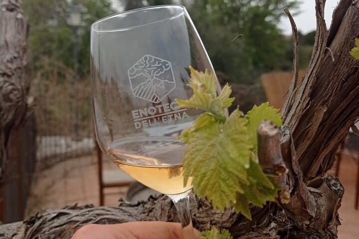 Mt Etna Trekking & Wine Tasting from Syracuse — Half-Day Volcano Tour photo 6