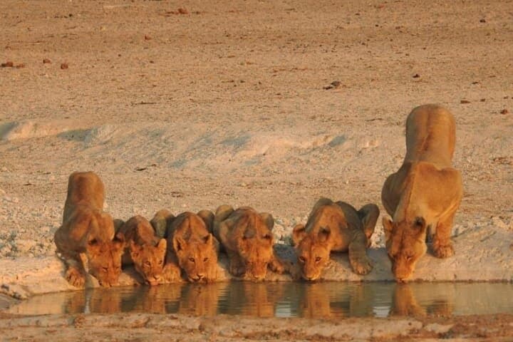 2-Night Private Kruger Safari and Panorama Route — Big Five & God’s Window photo 3