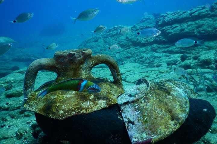 Discover Scuba Diving in Heraklion — Beginner-Friendly Dives off Crete photo 6