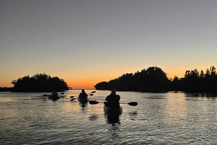 Sunset Kayaking at Titusville Wildlife Refuge — Manatees, Dolphins & Bioluminescence photo 2