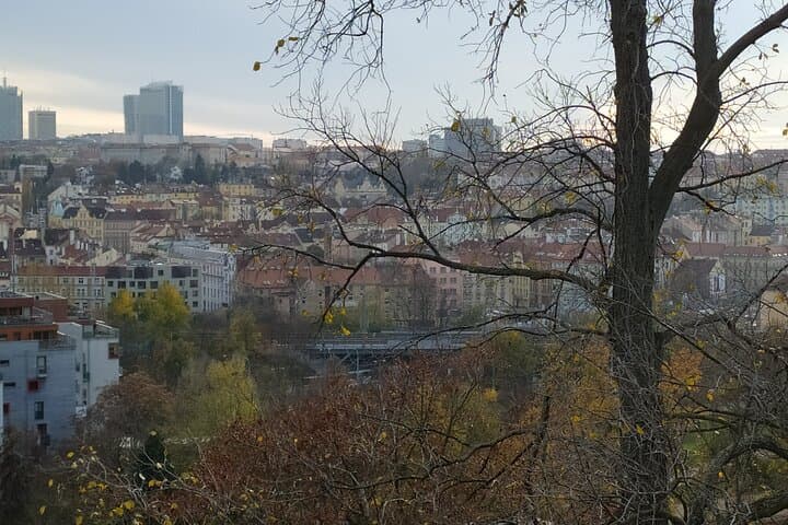 Offbeat Prague: Private Walk Through Žižkov, Vinohrady & Nusle photo 5