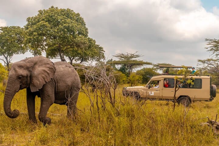 Selous Game Reserve: 4-Day Wildlife Encounter Safari on the Rufiji